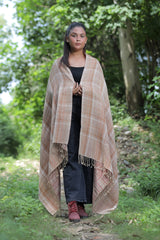Beige colour shawl - CraftKashmir