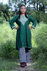 Green colour kurti - CraftKashmir