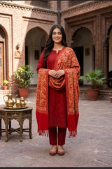 Red Kashmiri Aari Embroidered Wool Shawl with Heavy Jaal CraftKashmir