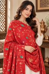 Close-up of Aari work on a red Kashmiri shawl