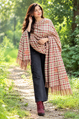 Beige Kashmiri Wool Shawl with Sozni Work CraftKashmir