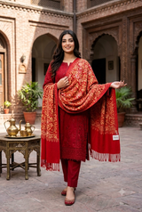 Red Kashmiri Aari Embroidered Wool Shawl with Heavy Jaal CraftKashmir