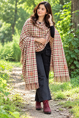 Beige Kashmiri Wool Shawl with Sozni Work CraftKashmir