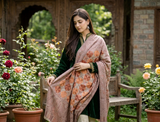 Brown Kashmiri Jamawar Wool Shawl with Aari-Style Embroidery CraftKashmir